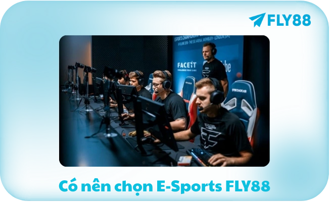 Co nen chon E Sports FLY88 Có nên chọn E-Sports FLY88